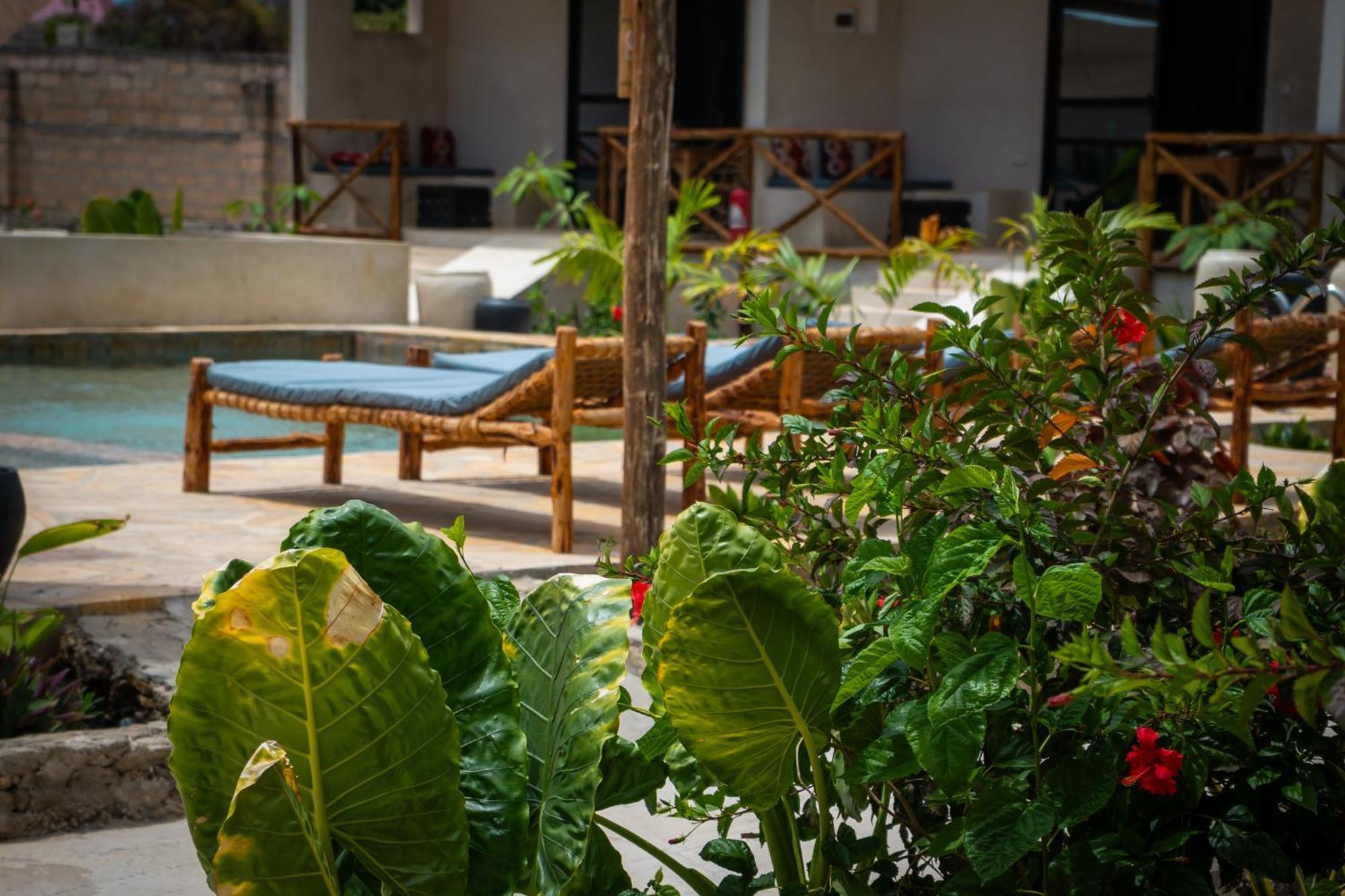 Hotel Blooming Zanzibar Jambiani  Exterior foto